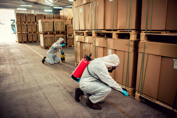 Best Best Pest Control Companies  in Charlotte, TN