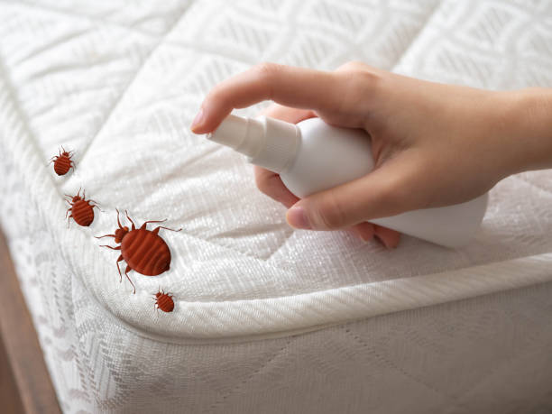 Trusted Charlotte, TN Pest Control Experts