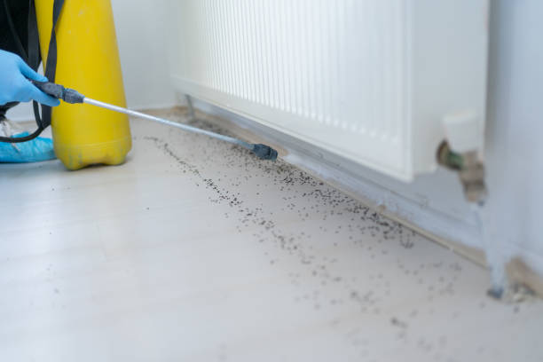 Professional Pest Control in Charlotte, TN